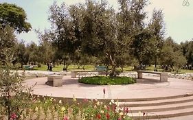 B&B El Olivar